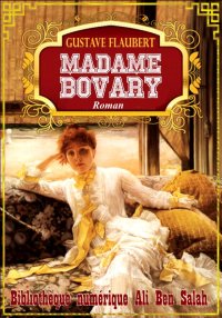 Madame Bovary, Mœurs de provin...